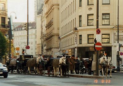 �ό��q�ړ��Ă̔n��