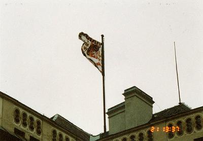 �哝�̎������̊�