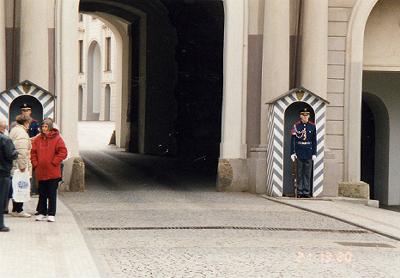 ������q��