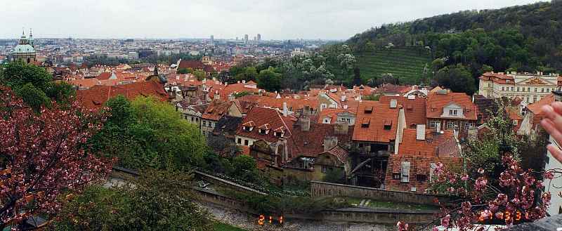 �v���n�ォ��̒���