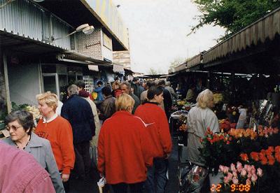 �I�V�s�̎G��