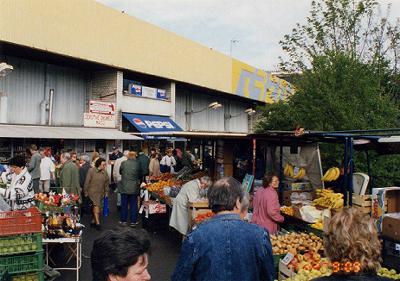 ���N�H���i������