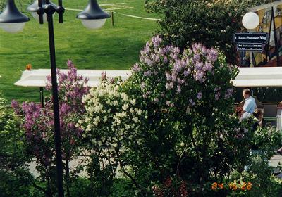 �����ȐF�̃��C���b�N�������Ă���